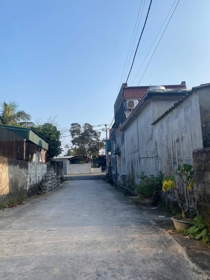 Đất nền Vĩnh Hòa, Vĩnh Bảo 600m² - Giá thỏa thuận, ô tô vào tận nơi!