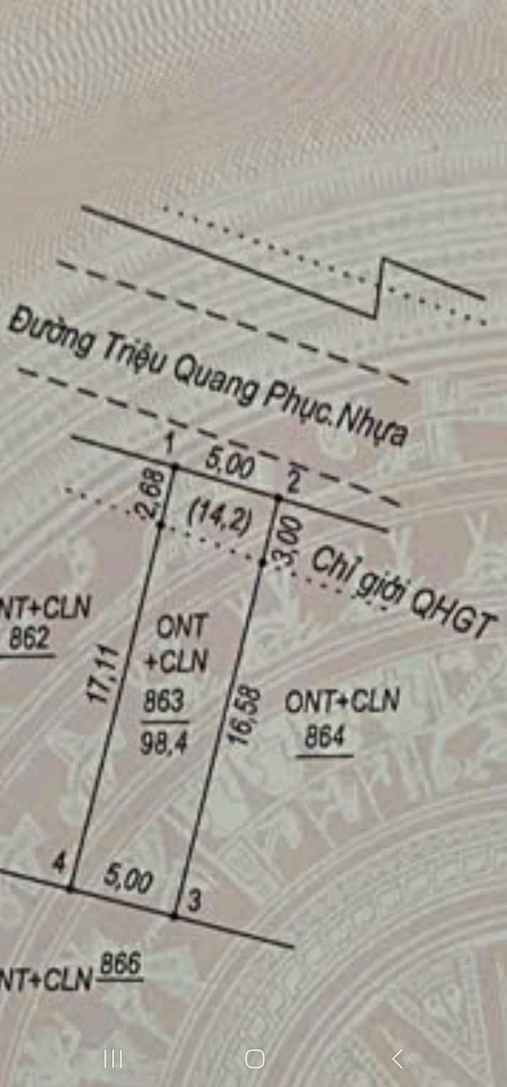 Đất nền 100m² mặt tiền đường Triệu Quang Phục giá chỉ 950 triệu - Cơ hội đầu tư tuyệt vời!