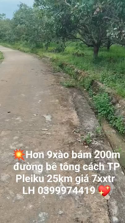 Đất nông nghiệp Ia Tô 90.000m² giá 700 triệu - Đầu tư sinh lời ngay!
