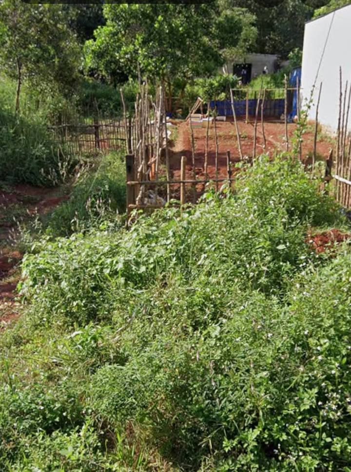 Đất Lô Góc 2 Mặt Tiền Tại Phước Long 170m² Giá Chỉ 500 Triệu - Cơ Hội Đầu Tư Đáng Giá!