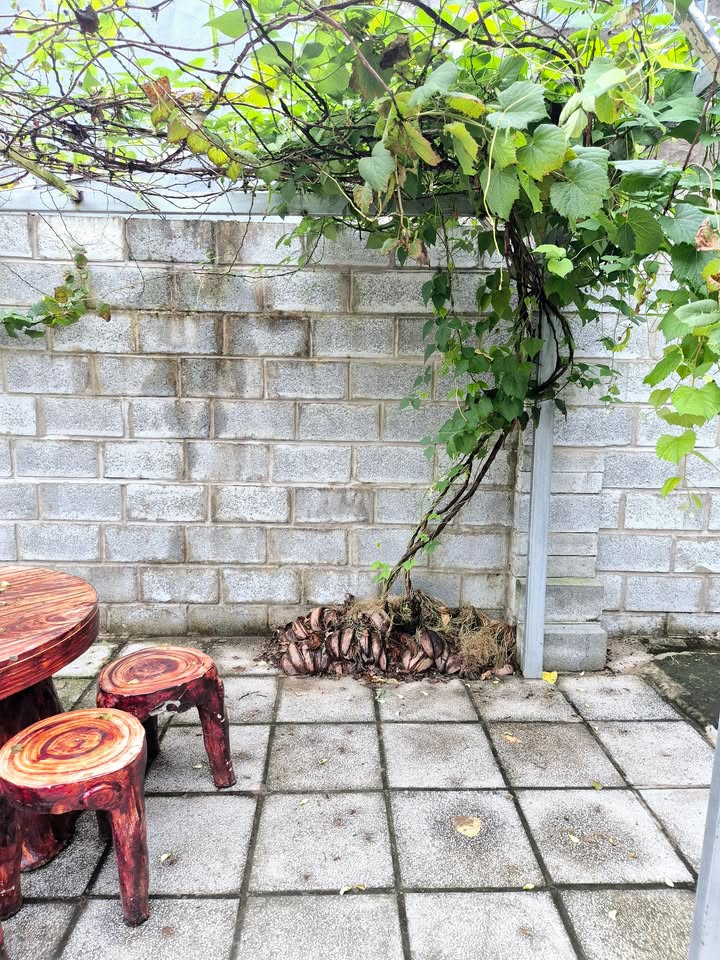 Đất nền 49m² tại Trà Nóc Cần Thơ giá chỉ 220 triệu - Sổ hồng riêng sang tên ngay!