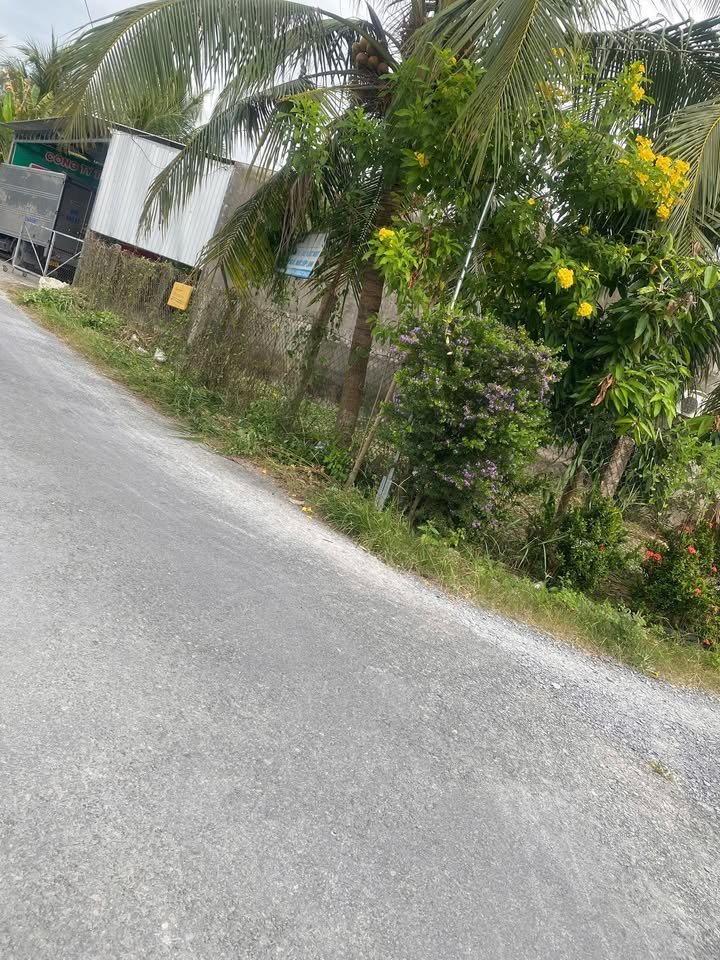 Đất mặt tiền lộ Trâm Bầu, An Cư, Cái Bè 254.4m² giá 1.6 tỷ - Đầu tư sinh lời ngay!