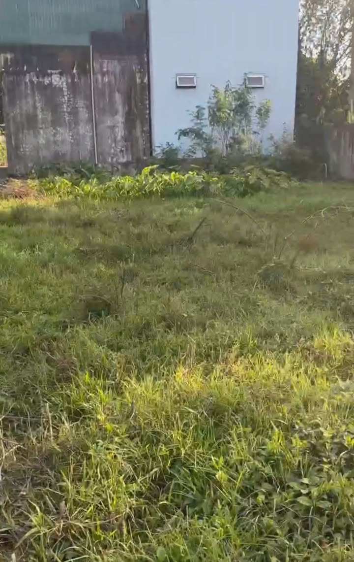 Lô đất 2 mặt tiền thôn Trung Tiến, Hoằng Xuyên 202m² - Giá cực hấp dẫn!