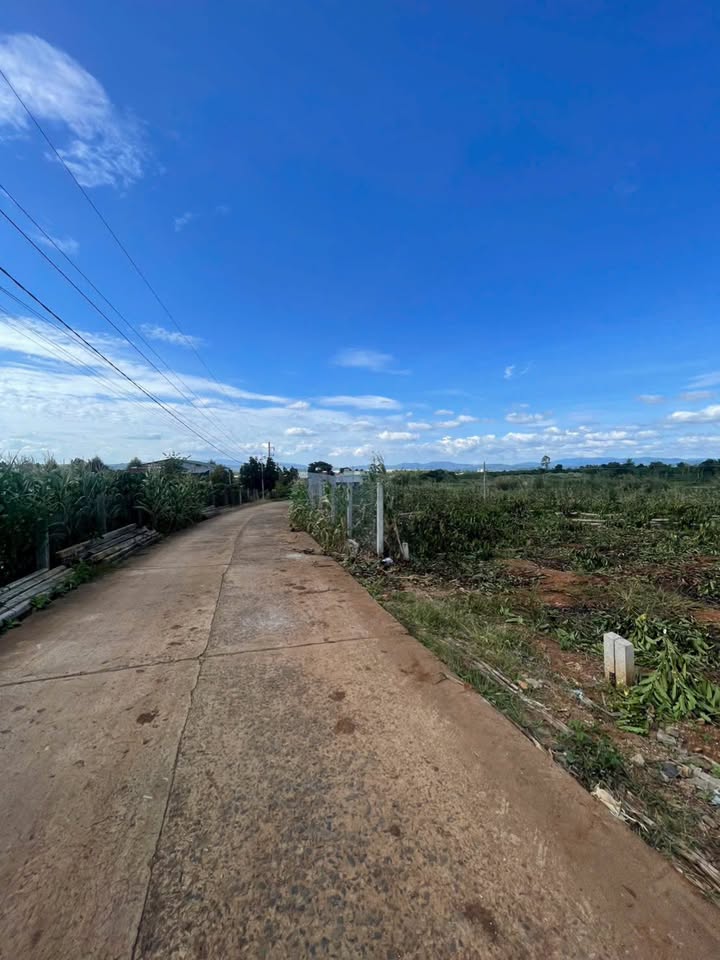 Đất nền Tân Hội, Đức Trọng 150m² giá 699 triệu - Sổ hồng riêng chính chủ!