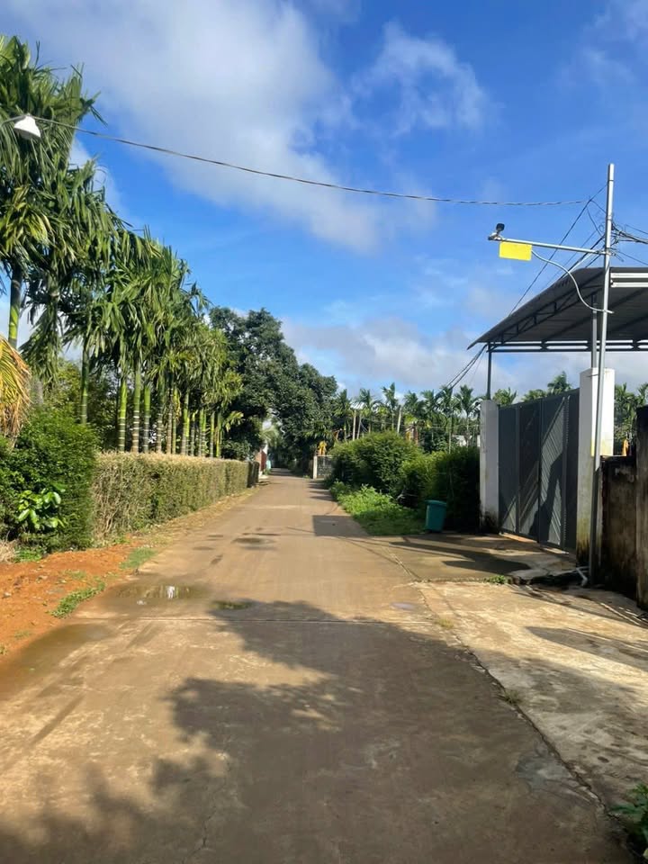 Đất thổ cư 168m² tại thôn 1A, Ea Ktur, Đắk Lắk - Gần trường học, giá chỉ 255.5 triệu!