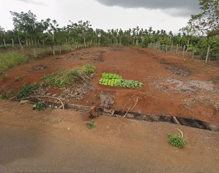 Bán đất mặt tiền Hoàng Quốc Việt, Buôn Hồ, 727m² - Đầu tư sinh lời tuyệt vời!