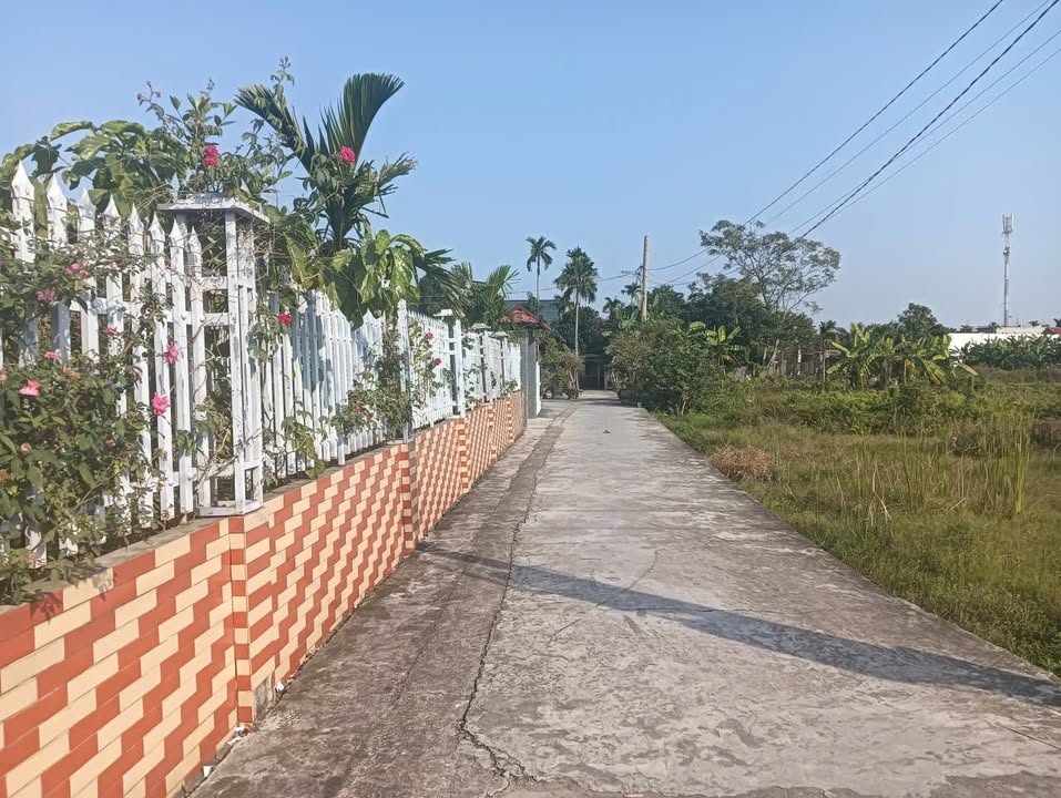 Đất Hòa Nghĩa Dương Kinh 500m² giá 7 tỷ - Cơ hội đầu tư lý tưởng!