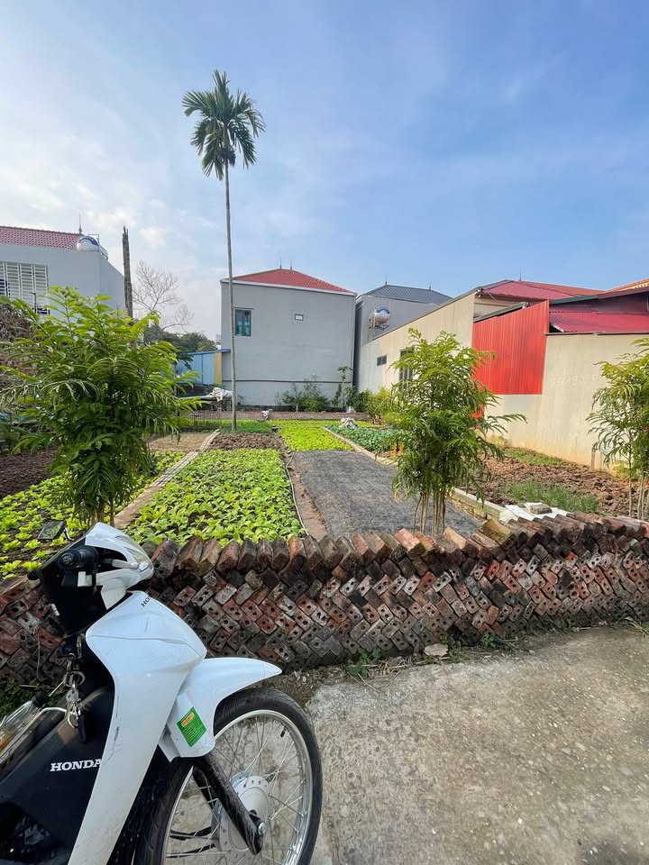 Đất nền Tích Giang 48m² giá chỉ 1 tỷ - Sổ đỏ chính chủ sang tên ngay!