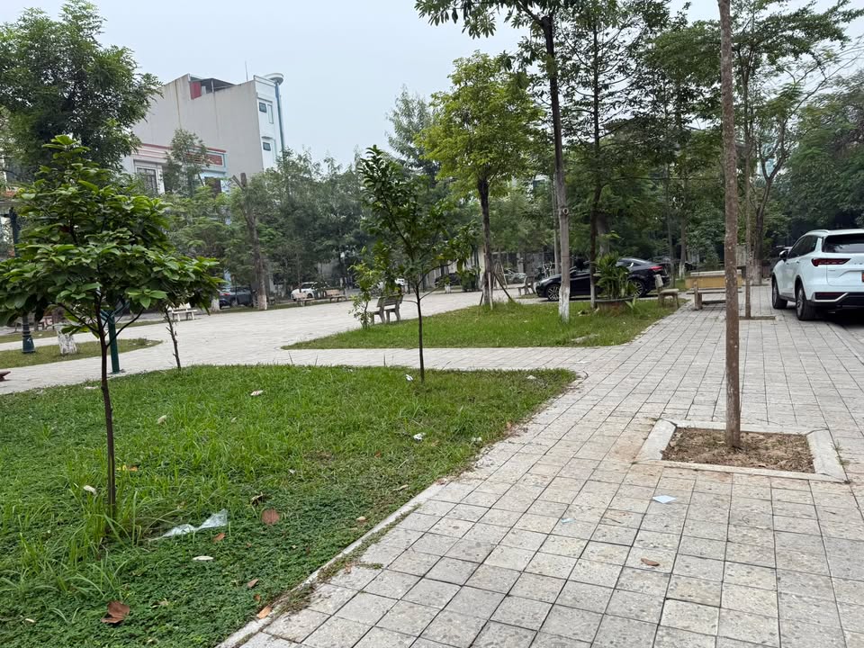 Nhà 3 tầng đường Nguyễn An Ninh, Bắc Ninh 81m² giá 8 tỷ - Sẵn sổ đỏ, vị trí đẹp!