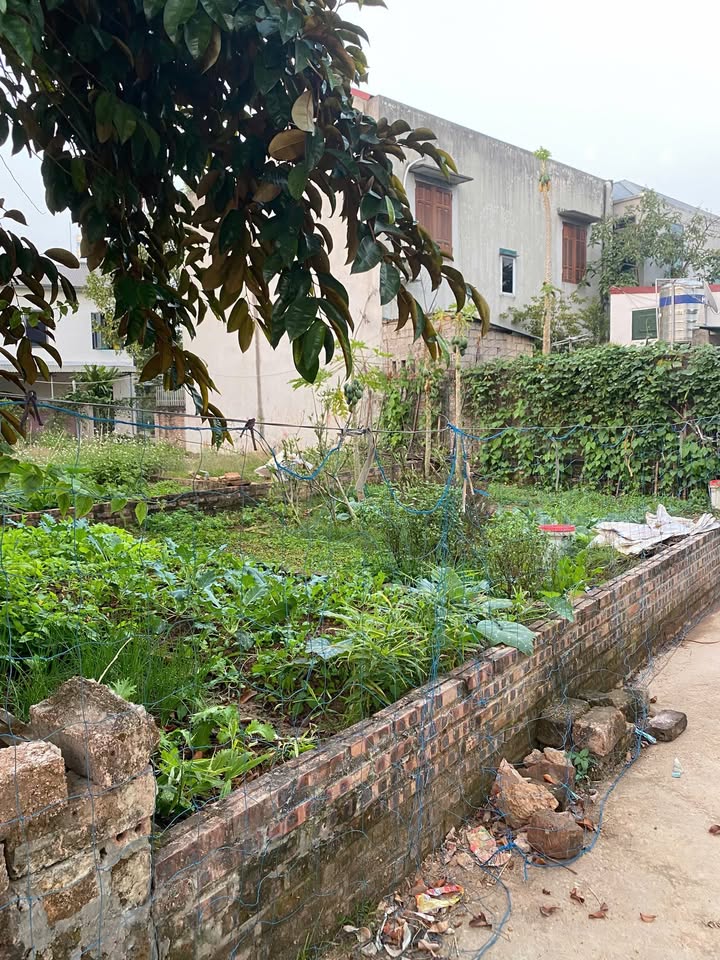 Đất nền Tích Giang, Phúc Thọ 58m² giá 1.4 tỷ - Đầu tư sinh lời tiềm năng!