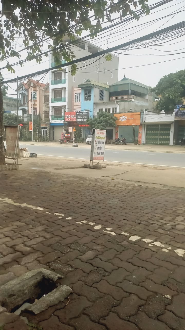 Đất nền trung tâm Thị Trấn Lương Sơn 254m² - Vị trí kinh doanh vàng!