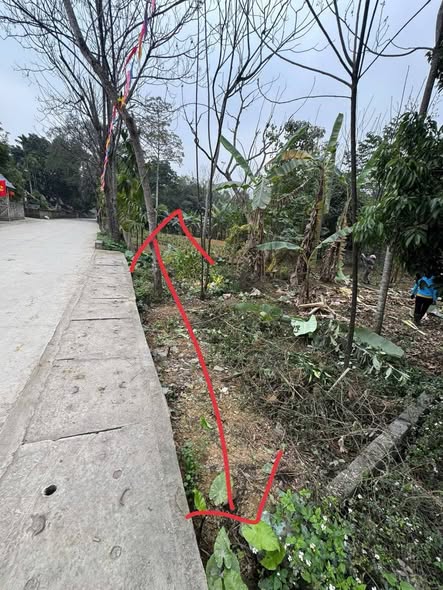 Đất nền Liên Sơn, Lương Sơn 340m² giá 3.4 tỷ - Cơ hội đầu tư sinh lời!