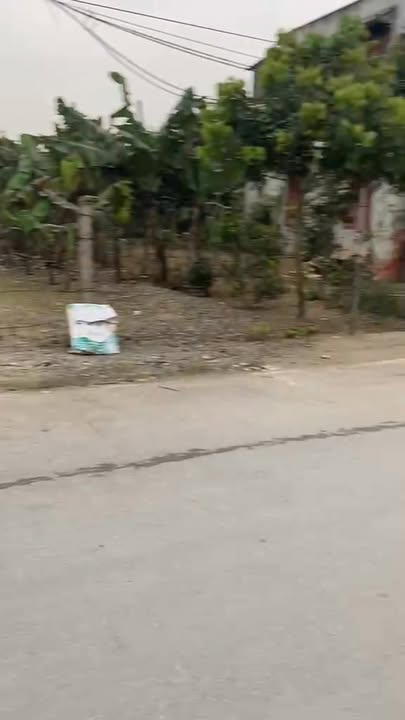 Đất thổ cư xã Hoằng Lưu 125m² giá 1.2 tỷ - Sổ hồng chính chủ!