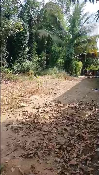 Farm Bàu Lâm Xuyên Mộc 1080m² giá 1.75 tỷ - Cơ hội đầu tư tuyệt vời!