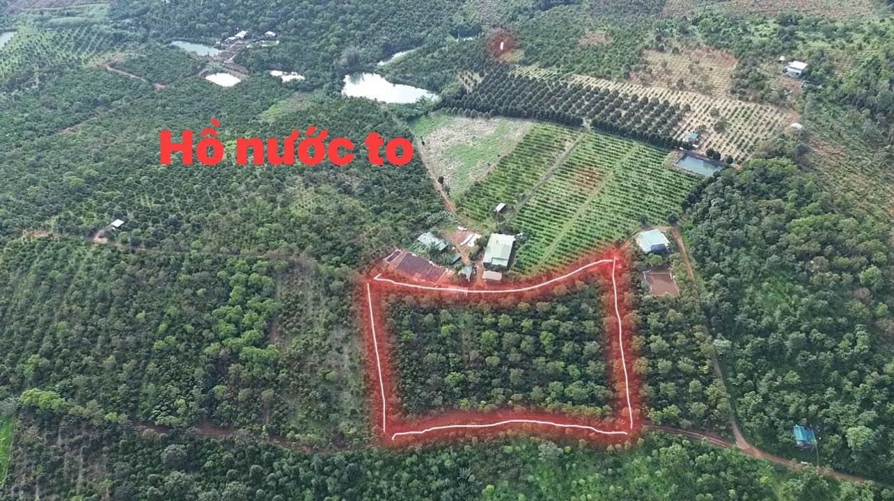 Đất Farm Đắk Nông 8ha giá 1.75 tỷ - Ôm 2 mặt đường lớn, thu nhập cao!