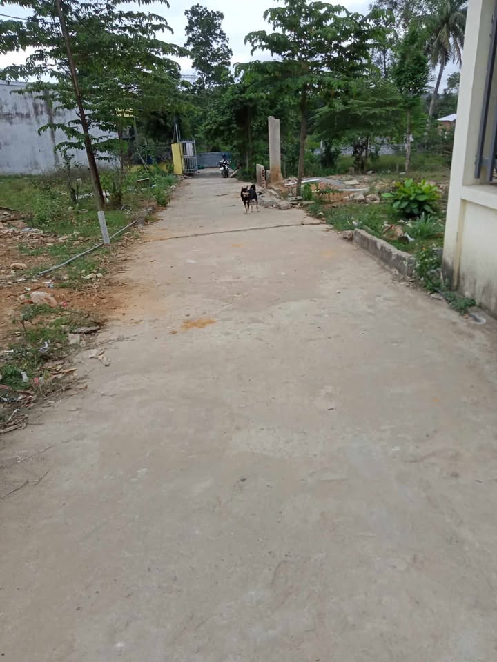 Đất nền Hòa Sơn Đà Nẵng 114m² giá 1.2 tỷ - Vị trí đắc địa, khu dân cư đông đúc!