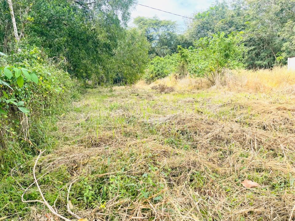 Đất nền Long Hòa, Cần Giờ 550m² giá 1 tỷ - Bán gấp trong tuần!