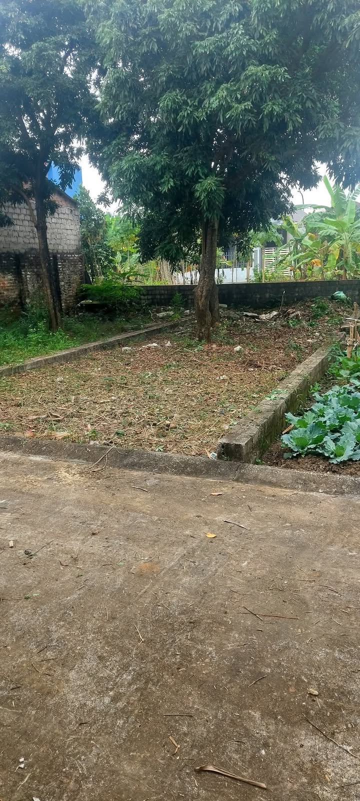 Đất nền Bình Yên Thạch Thất 64m² giá 2 tỷ - Sổ đỏ chính chủ, vị trí đẹp!