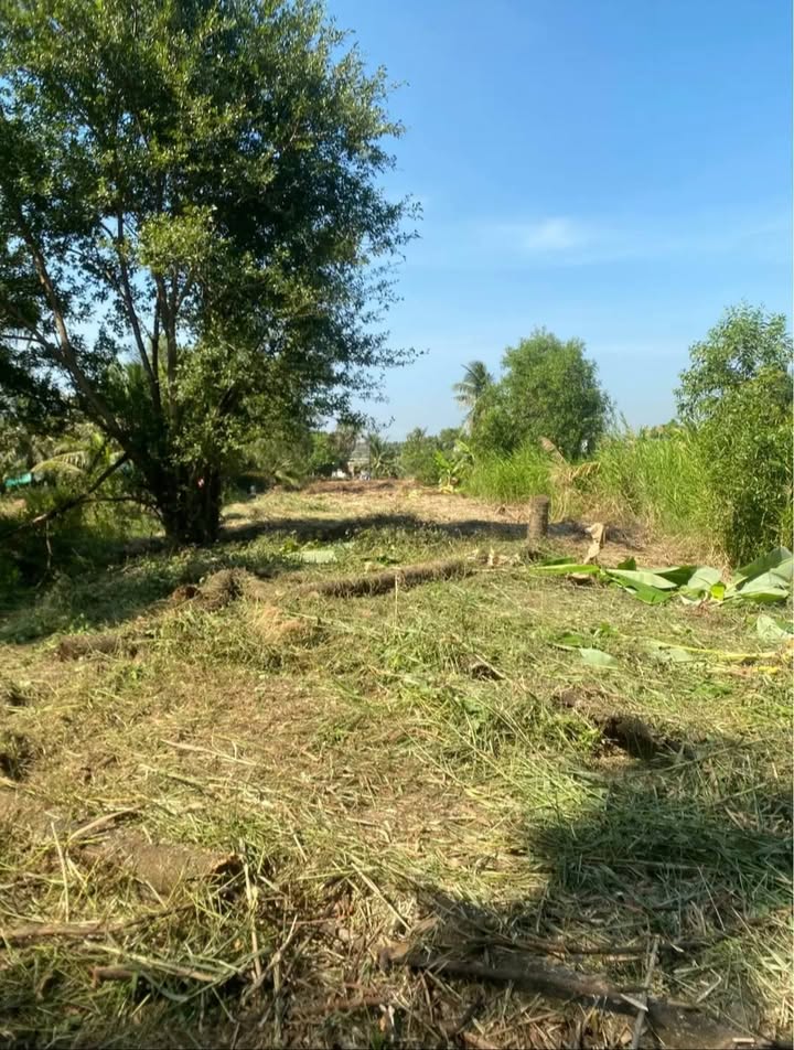 Đất làm vườn An Xuyên Cà Mau 1020m² giá 1 tỷ - Đầu tư lâu dài hấp dẫn!