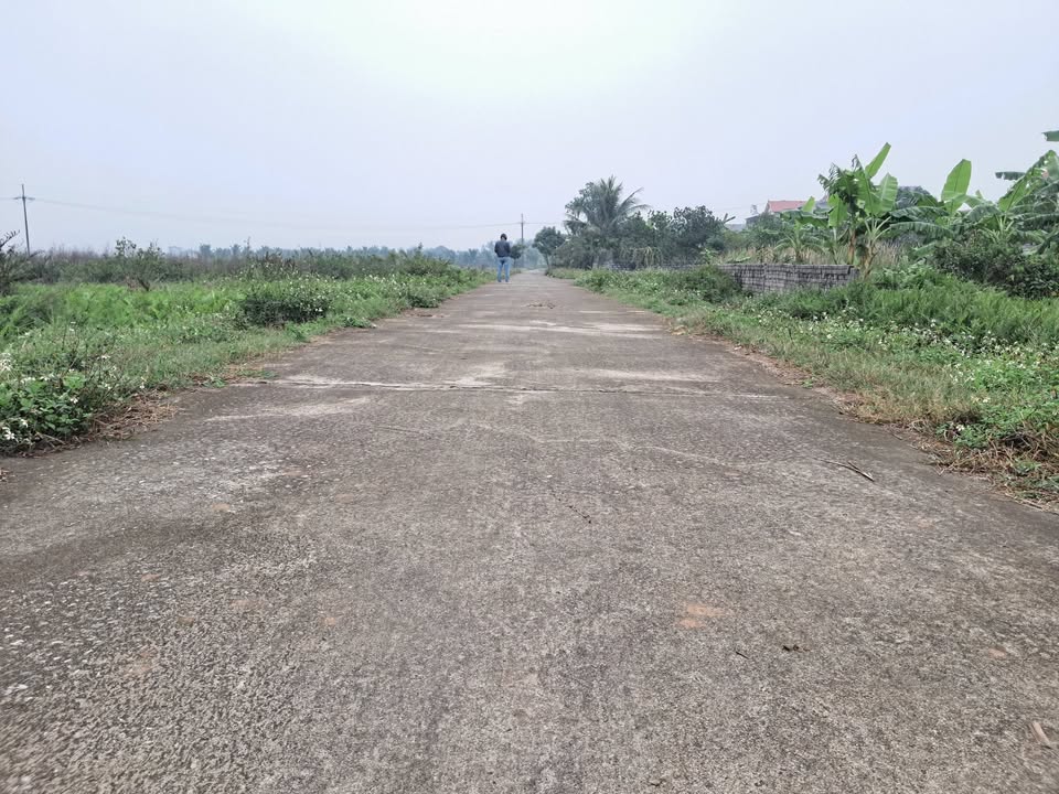 Đất nền Xuân Lộc, Hậu Lộc 184m² giá 800 triệu - Cơ hội đầu tư hấp dẫn!