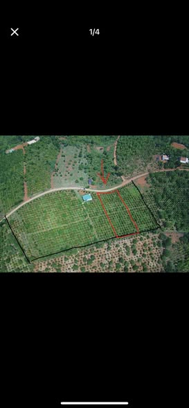 Đất nền Đăk Glong 2144m² giá 790 triệu - Bán gấp chính chủ!