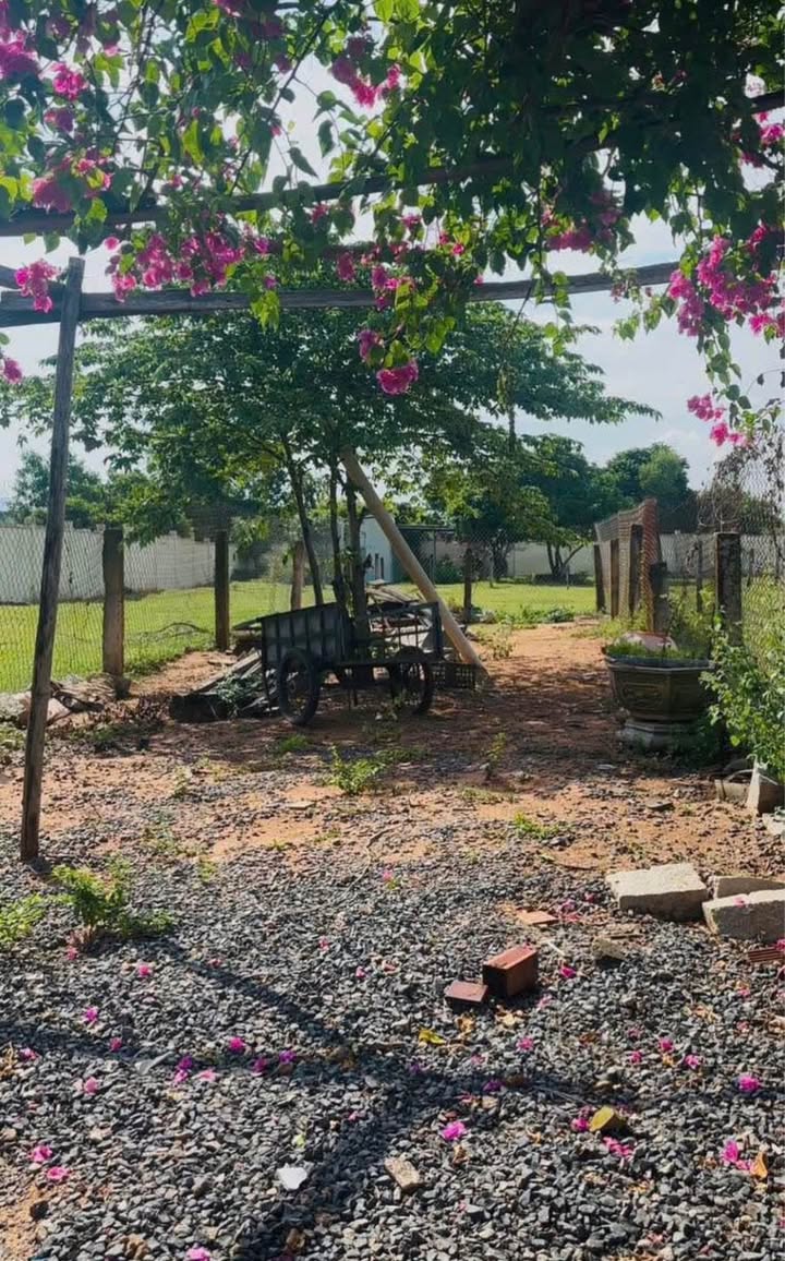 Đất nền xã Tiến Lợi - TP Phan Thiết 100m² giá chỉ 139 triệu - Đầu tư sinh lời ngay!