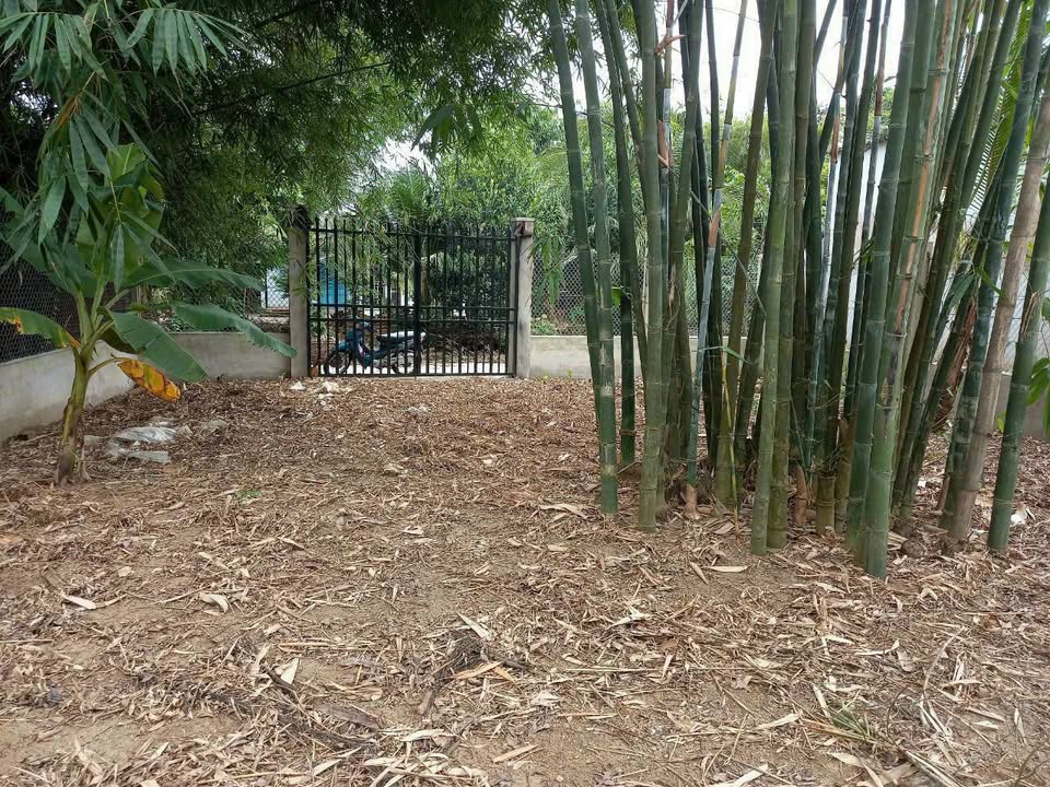 Đất nền 400m² Mỹ Khánh, Phong Điền - Tiềm năng đầu tư hấp dẫn!