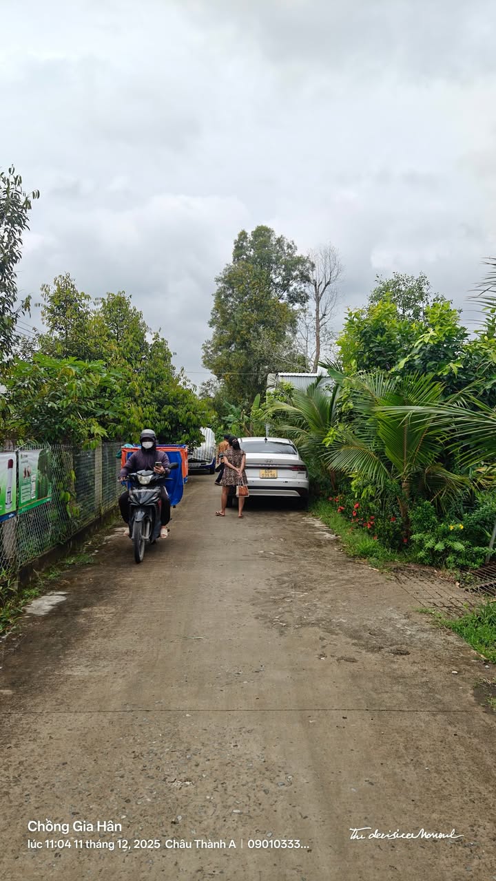 Đất thổ cư Tân Hoà, Phong Điền, Cần Thơ 500m² giá 750 triệu - Đầu tư sinh lời ngay!