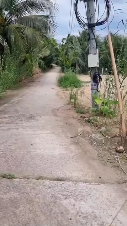 Đất nền góc 2 mặt tiền tại Tân Phú, Cai Lậy - Giá 600 triệu - Đầu tư sinh lời!