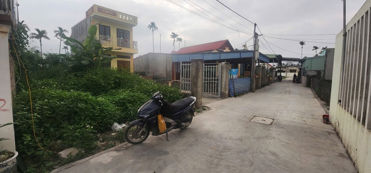 Đất nền Trường Thành An Lão 138m² giá chỉ 1 tỷ - Cơ hội đầu tư hấp dẫn!