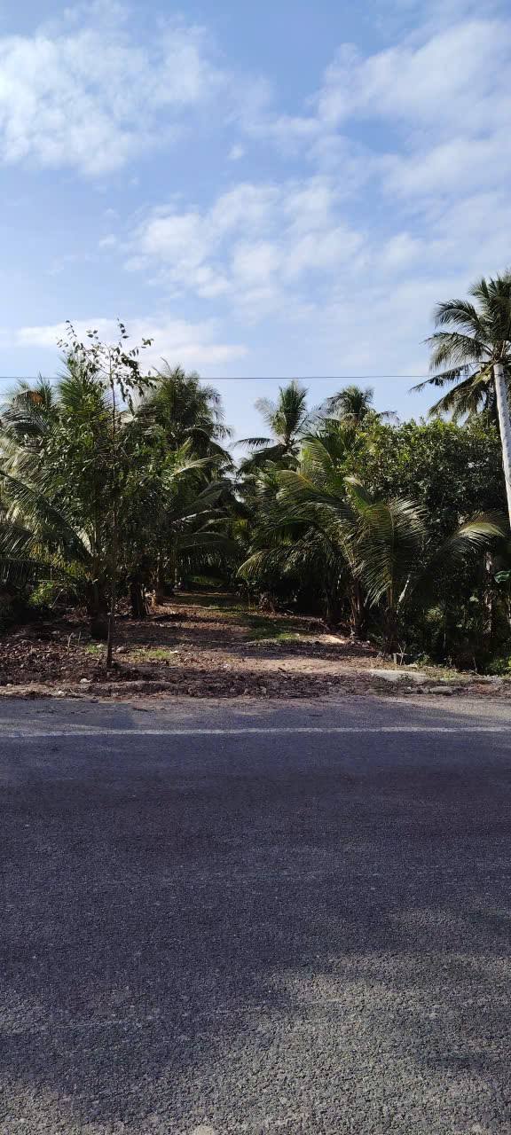 Đất ở khu đô thị Hữu Định, Châu Thành, Bến Tre, 700m² giá 3.5 tỷ - Cơ hội đầu tư lý tưởng!