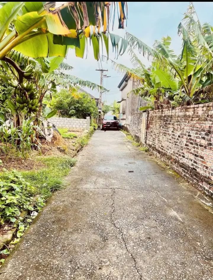 Đất nền xã Bắc Thái, huyện Thái Thụy 156m² - Gần Uỷ ban và trường học!