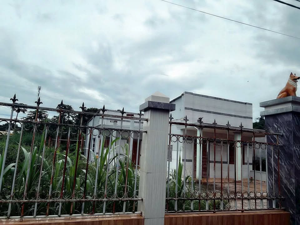 Đất thổ cư 1.1 sào Hòa Long Bà Rịa giá chỉ 3.1 tỷ - Mặt tiền đường nhựa rộng rãi!