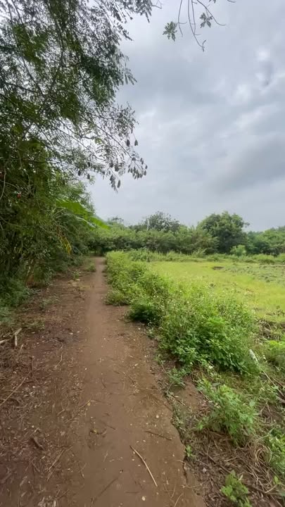 Đất nền Sông Thao, Trảng Bom 11m² giá 680 triệu - Sổ đỏ chính chủ, đường bê tông