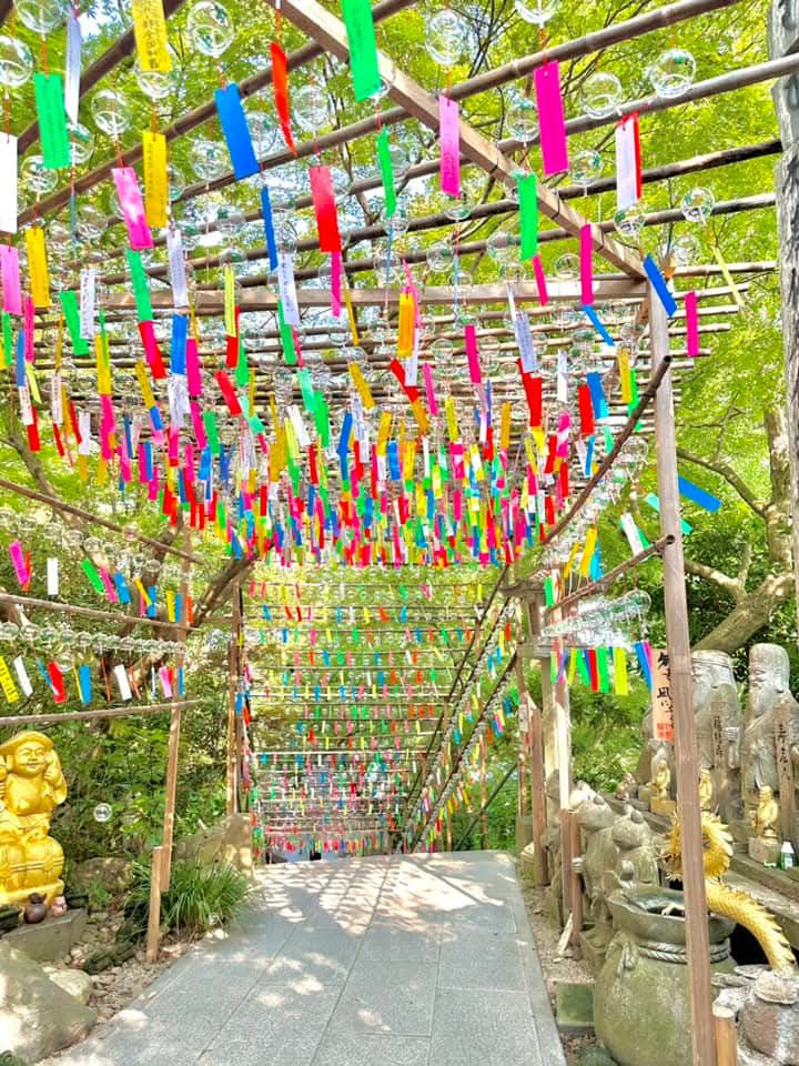 Đất thổ cư 800m² tại Mỹ Tài, Phù Mỹ - Giá thỏa thuận, cơ hội đầu tư hấp dẫn!