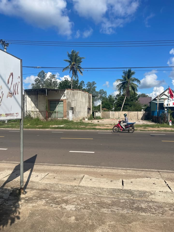 Đất mặt tiền Quốc Lộ 1A Phù Mỹ 81,7m² giá 800 triệu - Đầu tư sinh lời ngay!