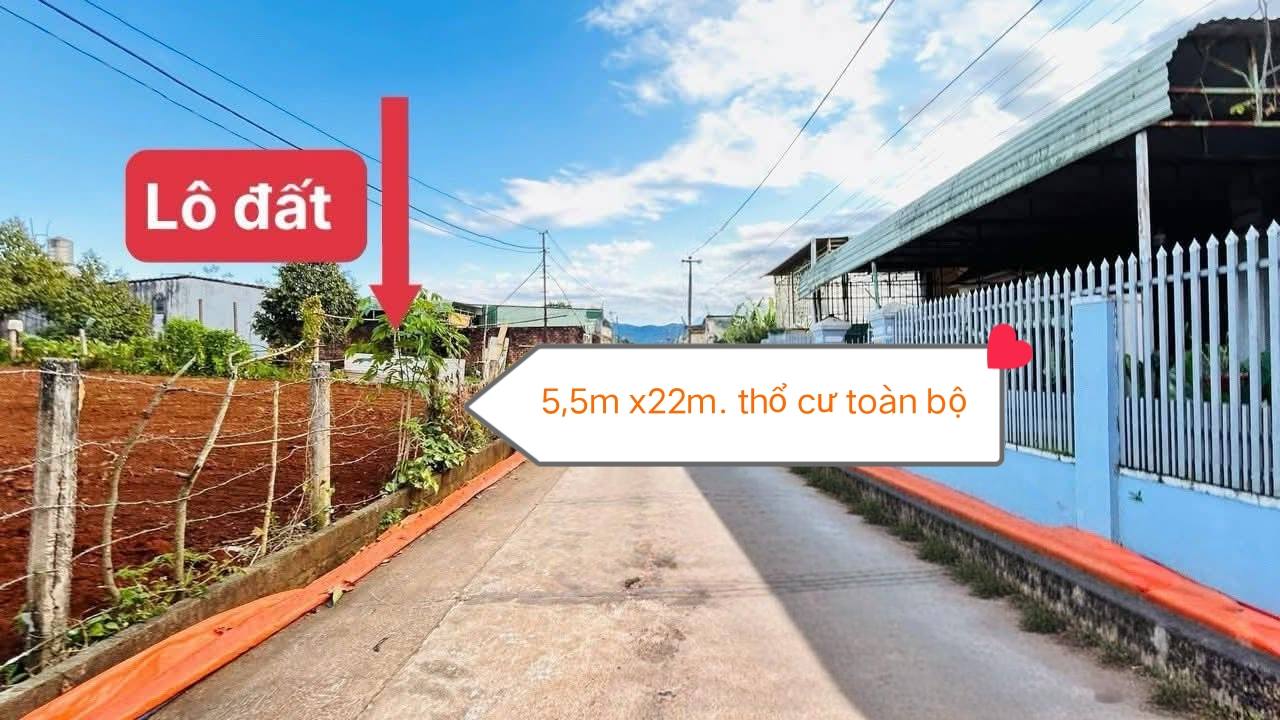 Đất thổ cư 121m² Hẻm 212 Trường Sơn - Giá chỉ 700 triệu - Đầu tư thông minh!