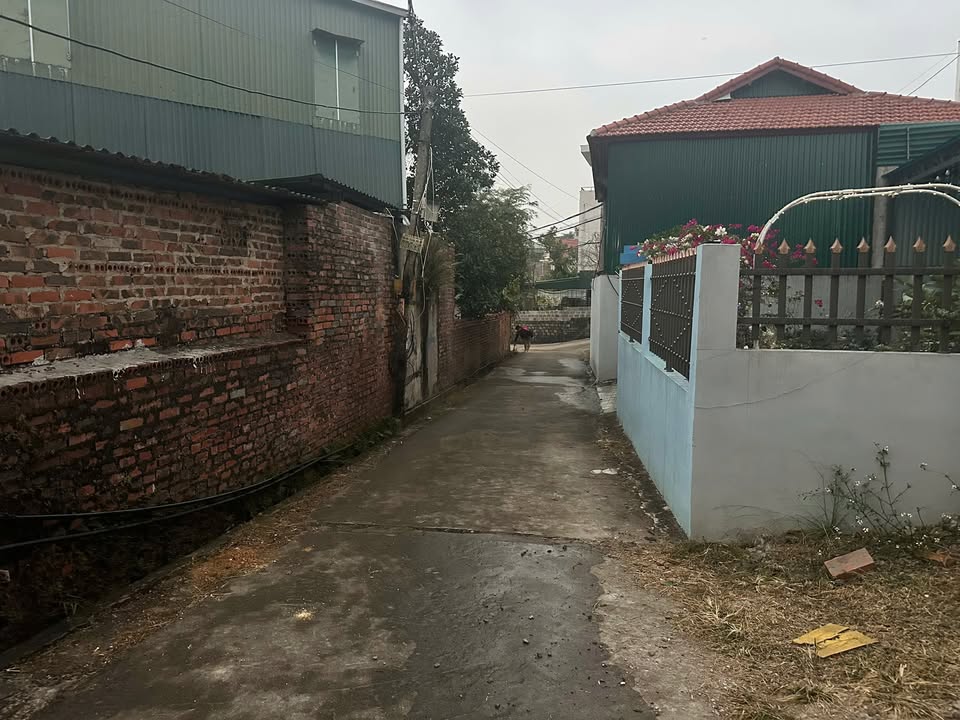 Đất nền Hạ Long 100m² giá chỉ 2 tỷ - Đường ô tô vào tận nơi!