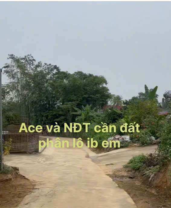 Đất phân lô tại xã Thanh Sơn, Phú Thọ 1800m² - Đầu tư sinh lời hấp dẫn!