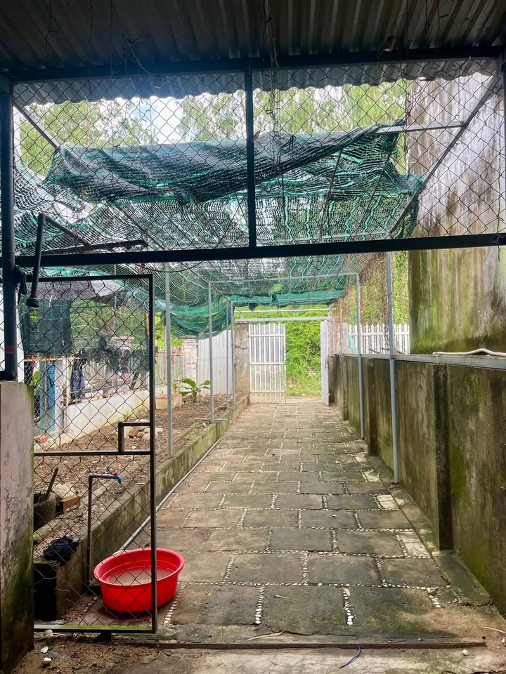 Nhà nguyên căn cho thuê đường Hòn Nghê 2, Vĩnh Ngọc 4 triệu - Sân vườn rộng rãi, chính chủ!