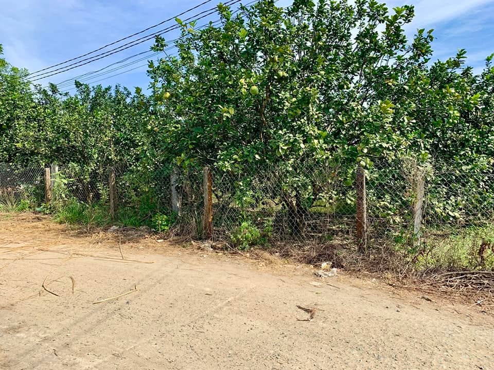 Đất thổ cư 242m² Khánh Nam giá 325 triệu - Pháp lý rõ ràng, đầu tư sinh lời!