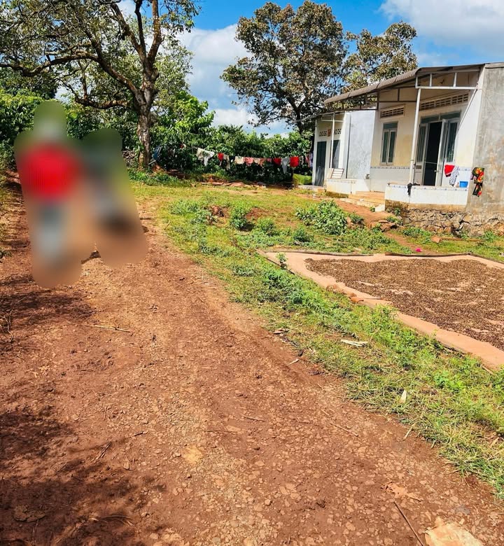 Đất thổ cư 4 sào mặt đường 50m tại Ea M'roh, Cư M'gar chỉ 1.58 tỷ!