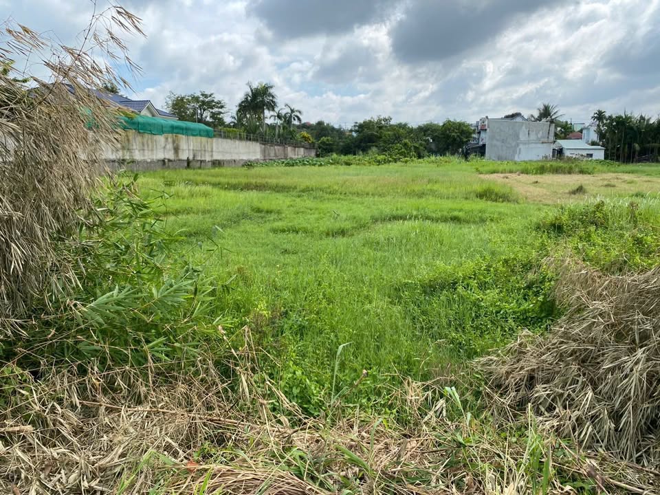 Đất thổ cư 3000m² Hiệp An, Thủ Dầu Một chỉ 24 tỷ - Cơ hội đầu tư hấp dẫn!