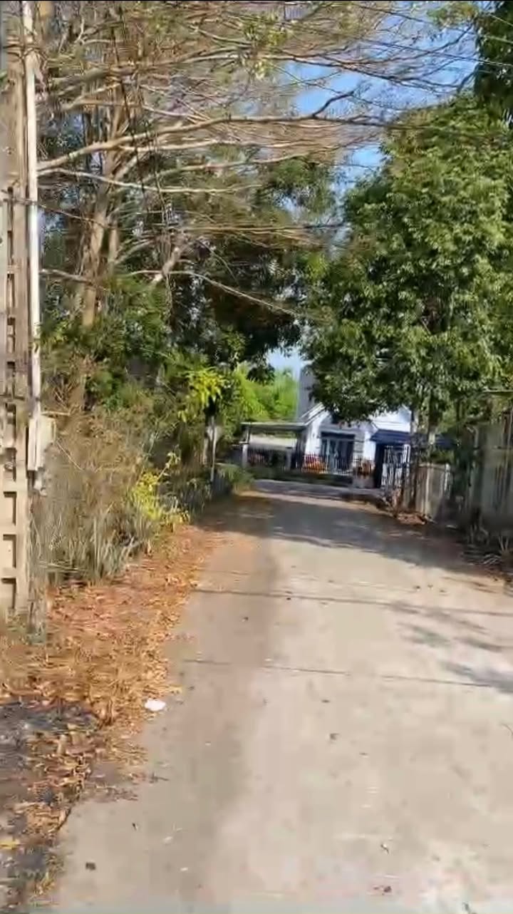 Đất nền Bàu Bàng Bình Dương 165m² giá chỉ 700 triệu - Đường nhựa thông thuận lợi!