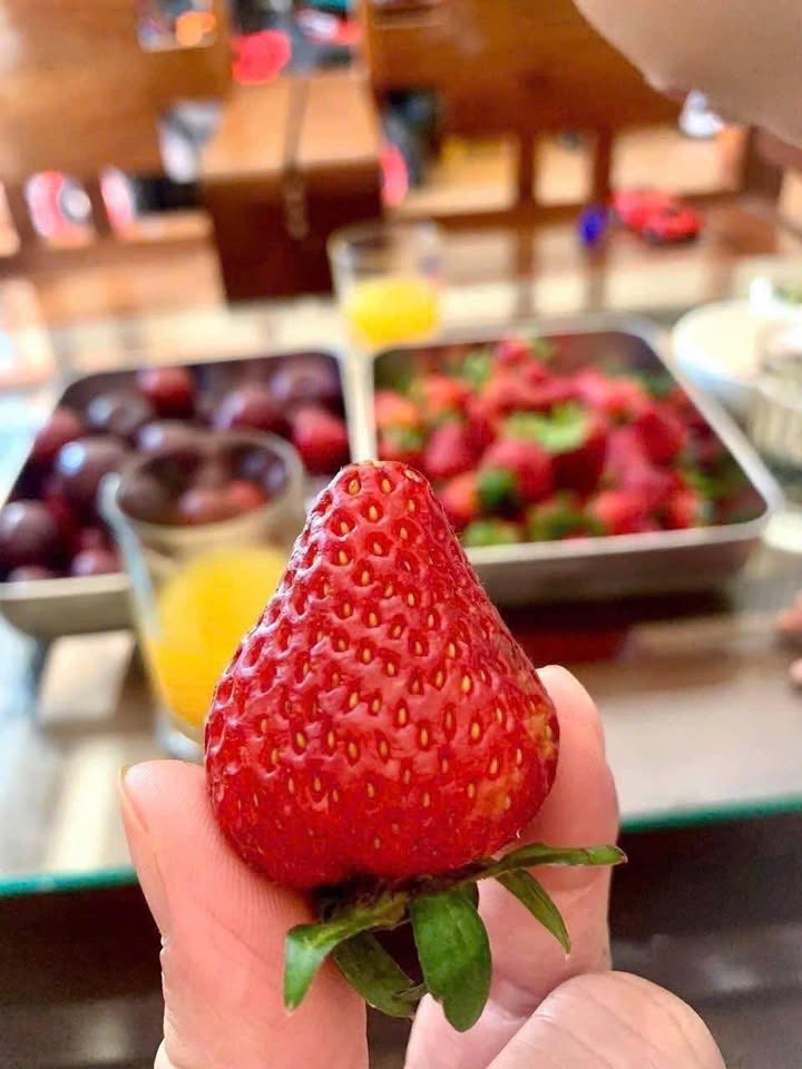 Nhà 2 tầng mặt tiền đường Trường Chinh Thanh Khê 75m² giá 4.6 tỷ - Hướng Đông, đẹp hoàn hảo!