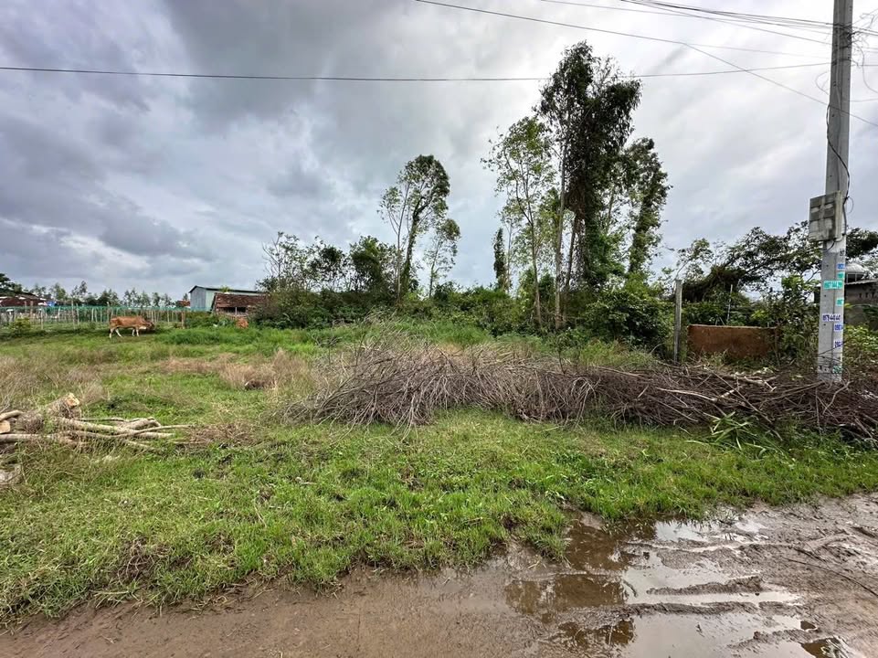 Đất nền Vân Sơn - Nhơn Hậu 185m² giá chỉ 699 triệu - Cơ hội đầu tư tuyệt vời!