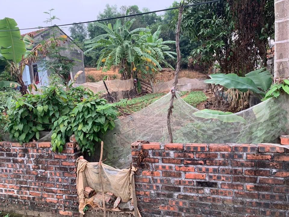 Đất thổ cư Hưng Đạo, Đông Triều 152.7m² chỉ 800 triệu - Đầu tư sinh lời ngay!