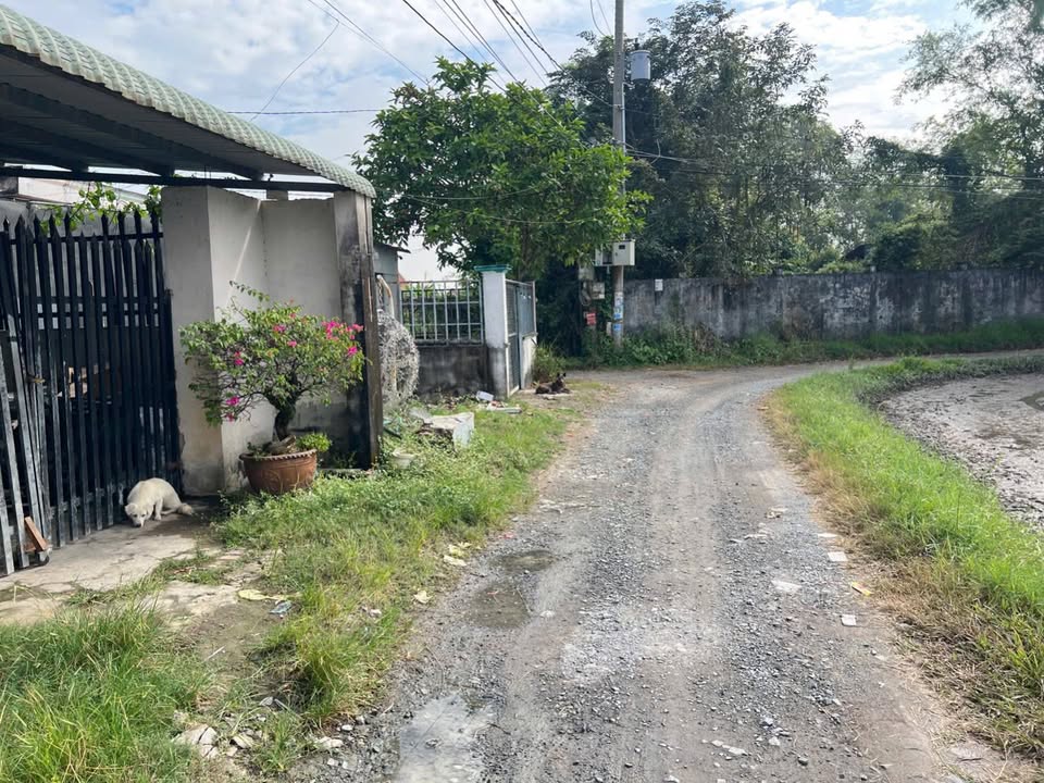 Nhà cấp 4 Hòa Khánh Đông, Đức Hòa 170m² giá 1.32 tỷ - Thương lượng ngay!