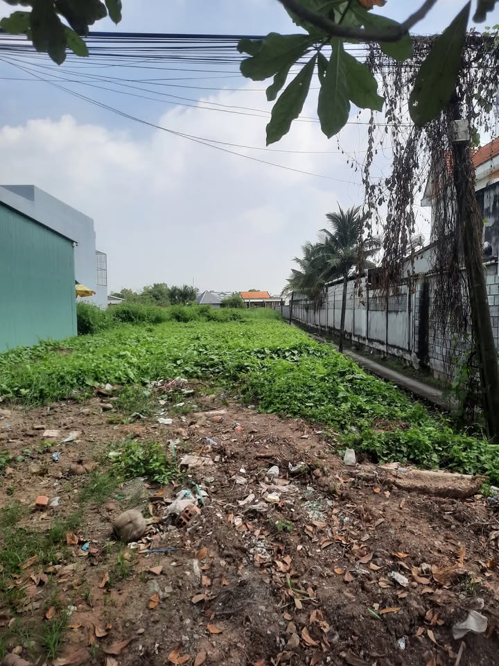 Đất thổ cư Long Cang 100m² giá chỉ 790 triệu - Cơ hội đầu tư tuyệt vời!