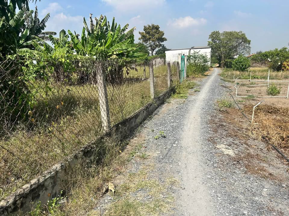 Đất vườn Phước Hậu, Cần Giuộc 475m² giá 1.75 tỷ - Sổ hồng riêng, pháp lý rõ ràng!